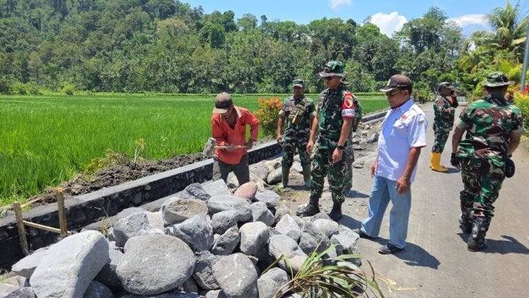 Dansatgas TMMD ke-126 Tinjau Pembangunan Drainase di Desa Lebakharjo