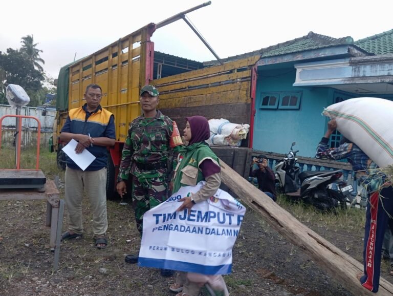 Babinsa Posramil 22/Licin Kawal Serapan Gabah Petani di Tamansari, Wujud Dukungan Ketahanan Pangan Nasional